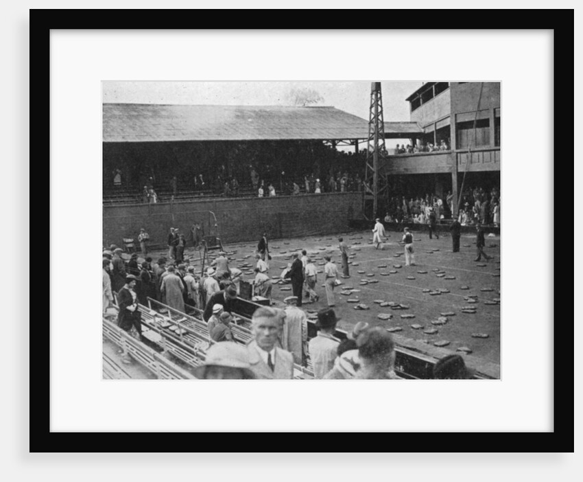 The cushion bombardment of No 1 Court, Davis Cup, Wimbledon by Planet News Ltd