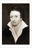 Percy Bysshe Shelley, English romantic poet by Anonymous