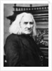 Franz Liszt, Hungarian pianist and composer by Anonymous