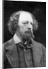 Alfred Tennyson, 1st Baron Tennyson, English poet by Anonymous