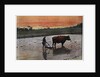 Preparation of a Rice Plantation in Japan by Charles Gillot