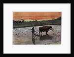 Preparation of a Rice Plantation in Japan by Charles Gillot