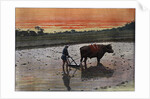 Preparation of a Rice Plantation in Japan by Charles Gillot