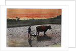 Preparation of a Rice Plantation in Japan by Charles Gillot