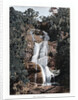Waterfall in Tijuca, Rio de Janeiro, Brazil by Anonymous
