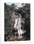 Waterfall in Tijuca, Rio de Janeiro, Brazil by Anonymous