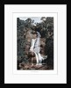 Waterfall in Tijuca, Rio de Janeiro, Brazil by Anonymous