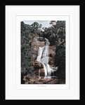 Waterfall in Tijuca, Rio de Janeiro, Brazil by Anonymous