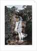 Waterfall in Tijuca, Rio de Janeiro, Brazil by Anonymous