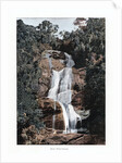Waterfall in Tijuca, Rio de Janeiro, Brazil by Anonymous