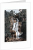 Waterfall in Tijuca, Rio de Janeiro, Brazil by Anonymous