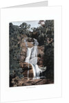 Waterfall in Tijuca, Rio de Janeiro, Brazil by Anonymous