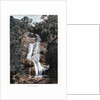 Waterfall in Tijuca, Rio de Janeiro, Brazil by Anonymous