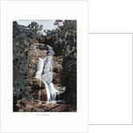 Waterfall in Tijuca, Rio de Janeiro, Brazil by Anonymous