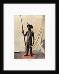 Jauapiry Indian with weapons, Brazil by Anonymous