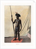 Jauapiry Indian with weapons, Brazil by Anonymous