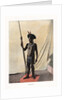 Jauapiry Indian with weapons, Brazil by Anonymous