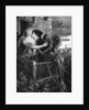 Romeo and Juliet by Anonymous