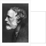 George Meredith, English novelist and poet by Frederick Hollyer