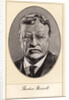 Theodore Roosevelt, 26th President of the United States by Gordon Ross