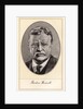 Theodore Roosevelt, 26th President of the United States by Gordon Ross