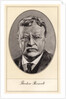 Theodore Roosevelt, 26th President of the United States by Gordon Ross