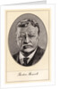 Theodore Roosevelt, 26th President of the United States by Gordon Ross