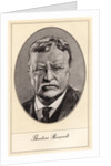 Theodore Roosevelt, 26th President of the United States by Gordon Ross