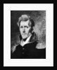 Andrew Jackson, seventh President of the United States by Samuel Lovett Waldo