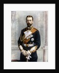 Prince Henry of Prussia by Anonymous