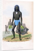 Natives of Tilcopia by James Prichard