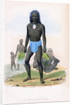 Natives of Tilcopia by James Prichard