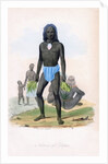 Natives of Tilcopia by James Prichard