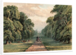 Long Walk, Windsor Park by Anonymous