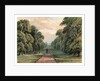 Long Walk, Windsor Park by Anonymous