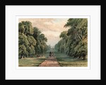 Long Walk, Windsor Park by Anonymous
