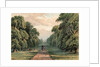 Long Walk, Windsor Park by Anonymous
