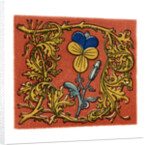Initial letter 'D', second half of the fifteenth century by Henry Shaw