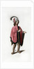Male dress by Henry Shaw