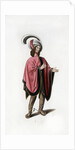Male dress by Henry Shaw