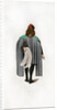 Male dress by Henry Shaw