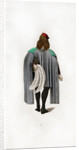 Male dress by Henry Shaw