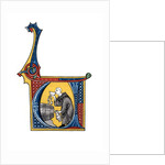 Initial letter 'U' by Henry Shaw