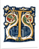 Initial letter 'T' by Henry Shaw