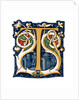 Initial letter 'T' by Henry Shaw