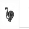 Doorknocker by Henry Shaw