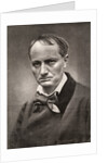 Charles Baudelaire, influential French poet, critic and translator by Anonymous