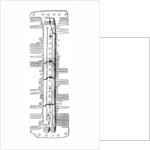 Saxon comb by Anonymous