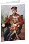 Sir Henry Evelyn Wood, English Field Marshal and a recipient of the Victoria Cross by Mayall