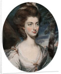 Lady Charlotte Hill, Countess Talbot by Daniel Gardner